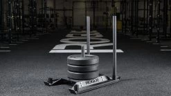 Best deal 👍 Rogue Echo 🦮 Dog Sled 😉