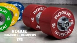 Deals 🌟 Rogue Dumbbell Bumpers 🔥