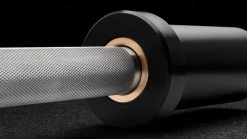 Wholesale 🌟 Rogue DB25-10 Loadable Dumbbell - Stainless 💯 -Conditioning Shop RA2119 SSIL web4 pnmyhd