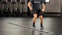 Discount 😍 Stroops Roll Out Ladder ❤️