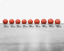 Best reviews of 🛒 Rogue Echo Slam Balls 🔔 -Conditioning Shop XX13219 web2 vsjsnm