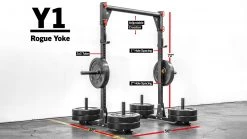 Deals ๐ Y-1 Rogue Yoke โญ